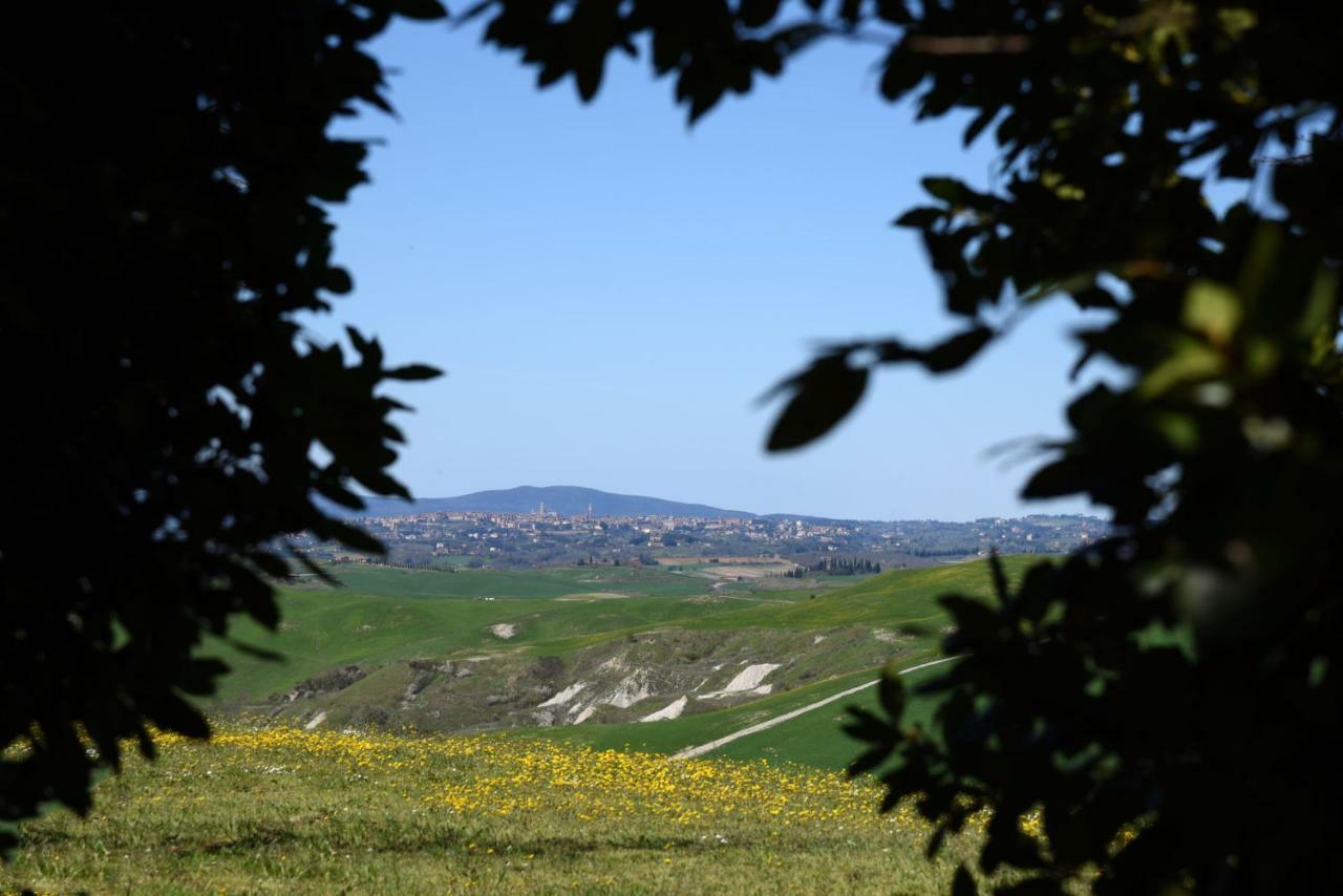 Podere Il Granaio - Crete Senesi - Tuscany Sienne